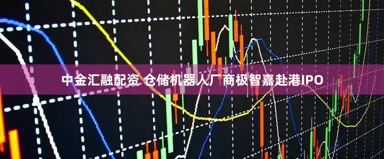 中金汇融配资 仓储机器人厂商极智嘉赴港IPO