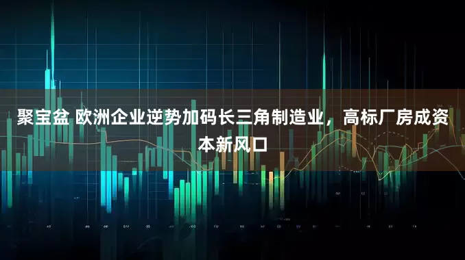 聚宝盆 欧洲企业逆势加码长三角制造业，高标厂房成资本新风口