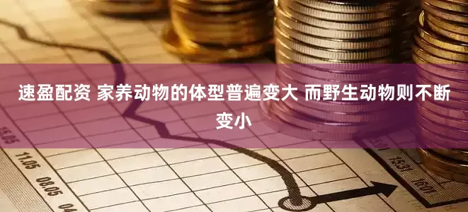 速盈配资 家养动物的体型普遍变大 而野生动物则不断变小