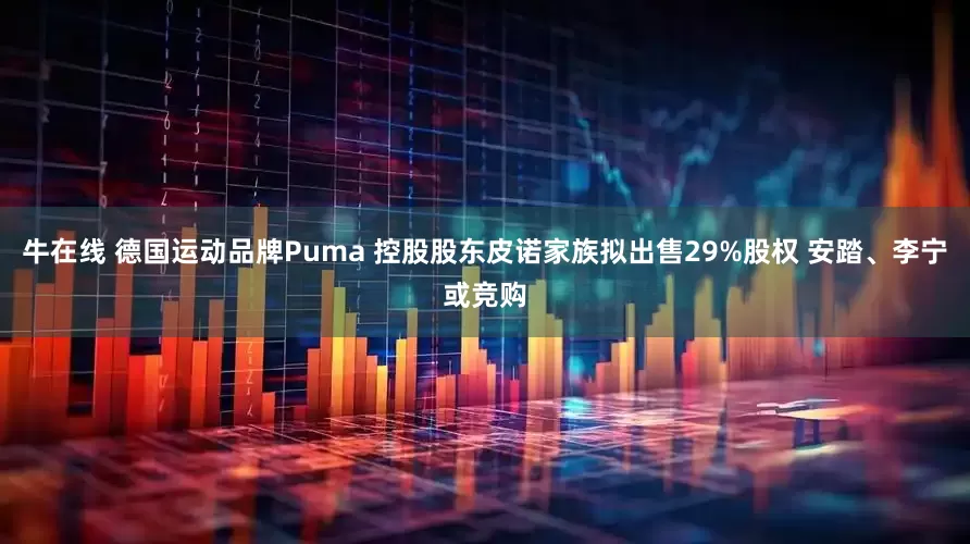 牛在线 德国运动品牌Puma 控股股东皮诺家族拟出售29%股权 安踏、李宁或竞购