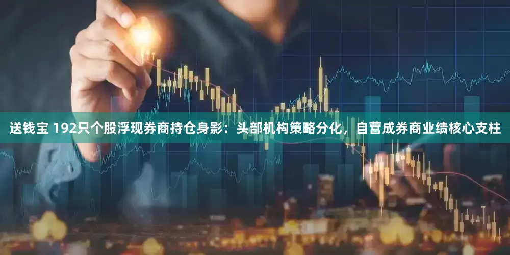 送钱宝 192只个股浮现券商持仓身影：头部机构策略分化，自营成券商业绩核心支柱